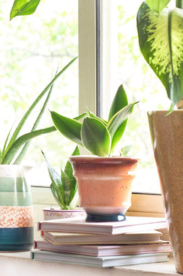 Bella Ceramic Planter - The Wishing Chair