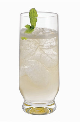 Dartington Crystal Home Bar Long Drink Glass- Set of 4 - The Wishing Chair