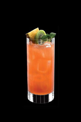 Luigi Bormioli Bach Beverage Glass- Set of 6 - The Wishing Chair