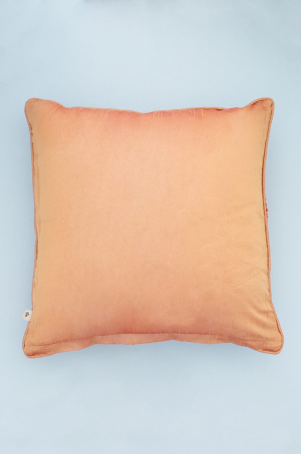 Ayleen Embroidered Cushion Cover