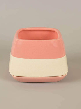 Blossom Pink Nova Half N Half Ceramic Planter