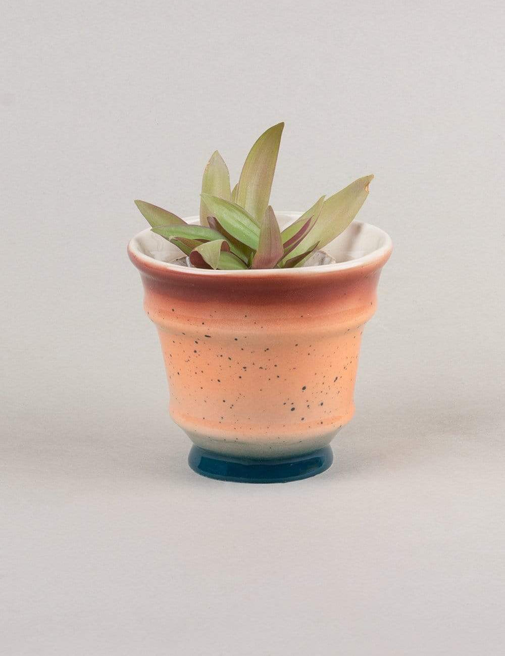 Bella Ceramic Planter - The Wishing Chair