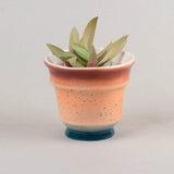 Bella Ceramic Planter - The Wishing Chair