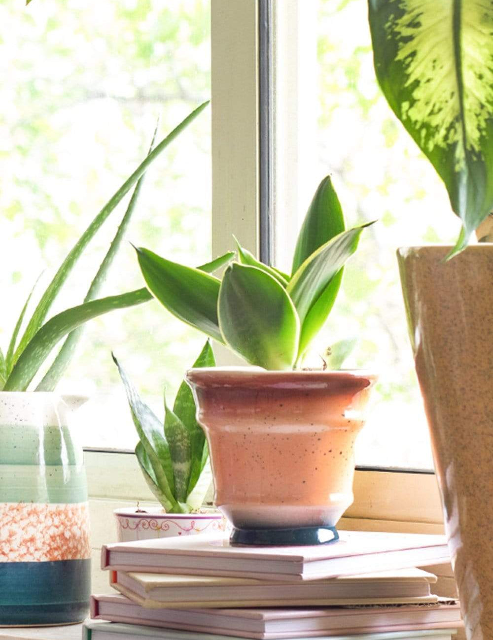 Bella Ceramic Planter - The Wishing Chair