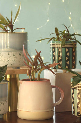 Berry Fizz Ceramic Planter - The Wishing Chair