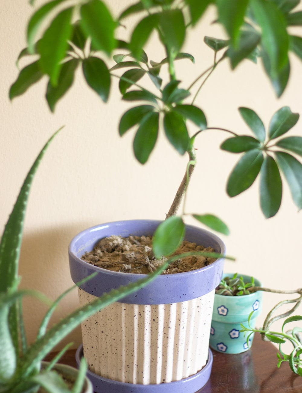 Crinkle Pop Ceramic Planter with Plate - The Wishing Chair