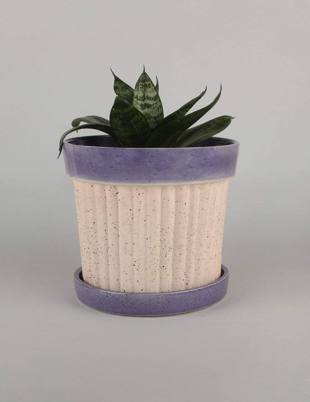 Crinkle Pop Ceramic Planter with Plate - The Wishing Chair
