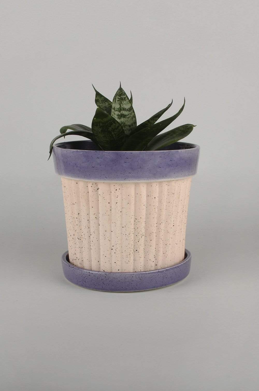 Crinkle Pop Ceramic Planter with Plate - The Wishing Chair