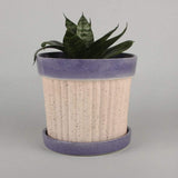 Crinkle Pop Ceramic Planter with Plate - The Wishing Chair