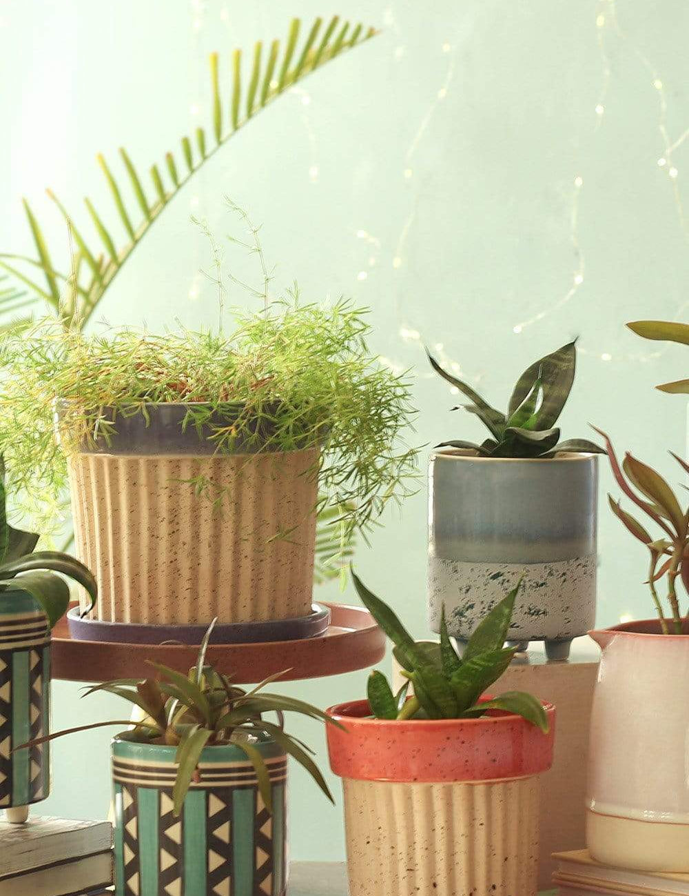 Crinkle Pop Ceramic Planter with Plate - The Wishing Chair
