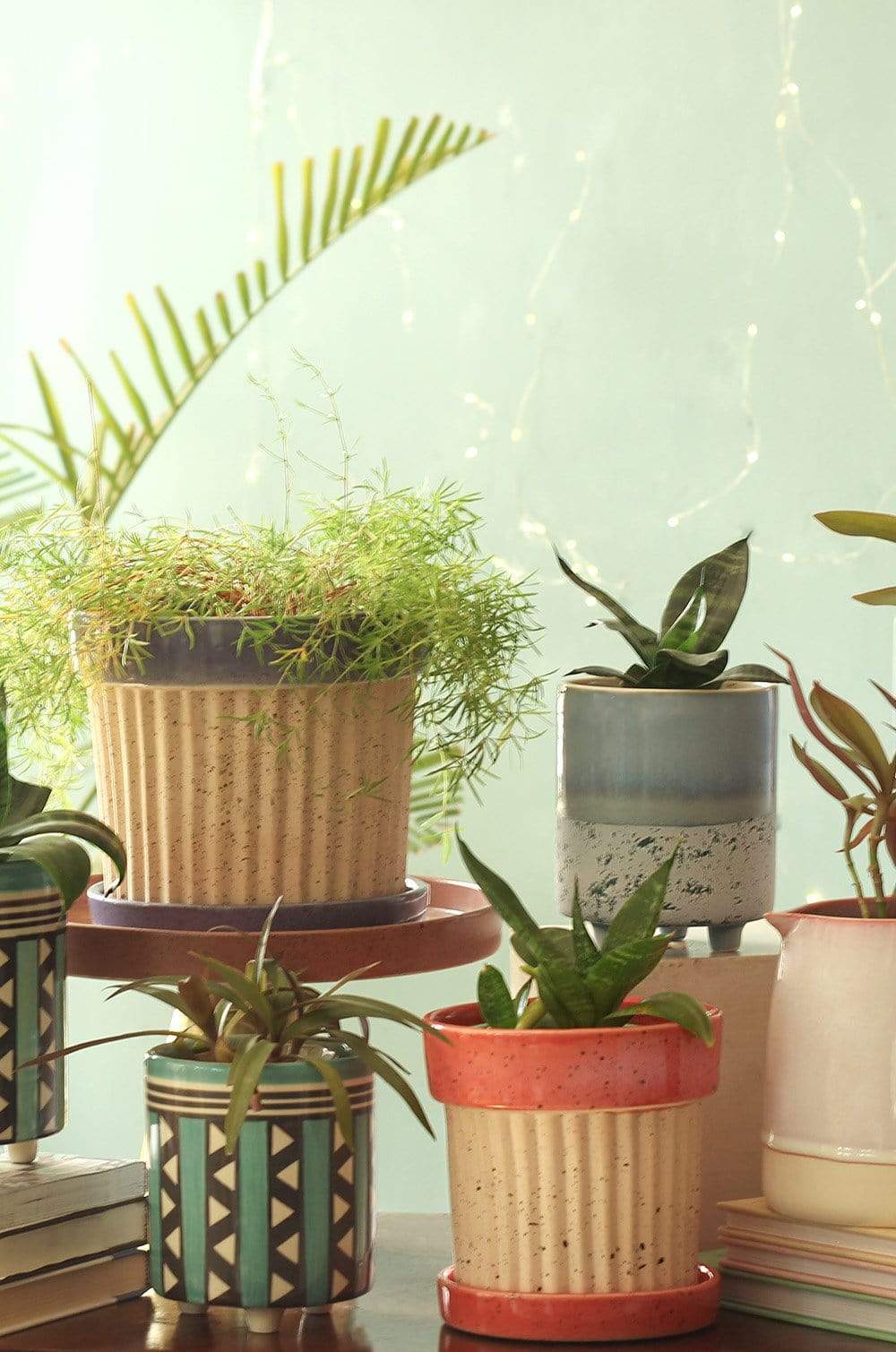 Crinkle Pop Ceramic Planter with Plate - The Wishing Chair