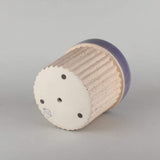 Crinkle Pop Ceramic Planter with Plate - The Wishing Chair