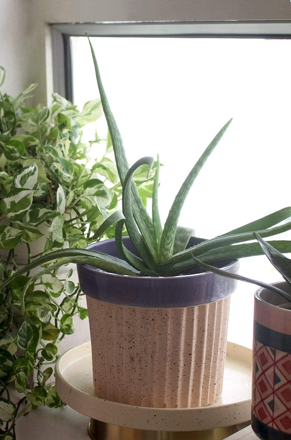 Crinkle Pop Ceramic Planter with Plate - The Wishing Chair