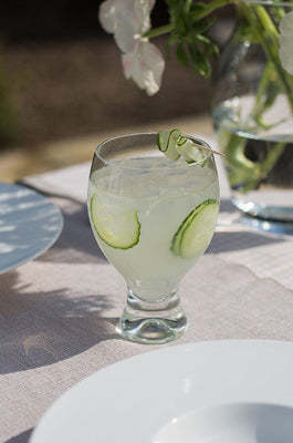 Dartington Crystal Home Bar Gin Goblet Glass- Set of 4 - The Wishing Chair