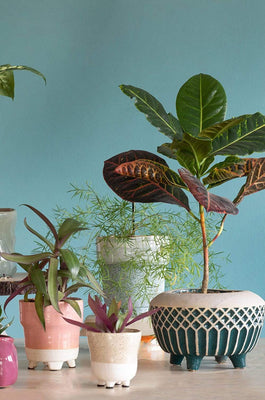 Emerald Ceramic Planter - The Wishing Chair