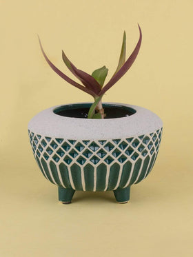 Emerald Ceramic Planter - The Wishing Chair