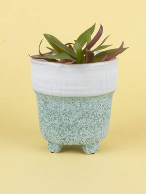 Enoki Ceramic Planter- Large - The Wishing Chair