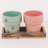 Hello Daisy Planters  With Wooden Tray -set Of 2 - The Wishing Chair