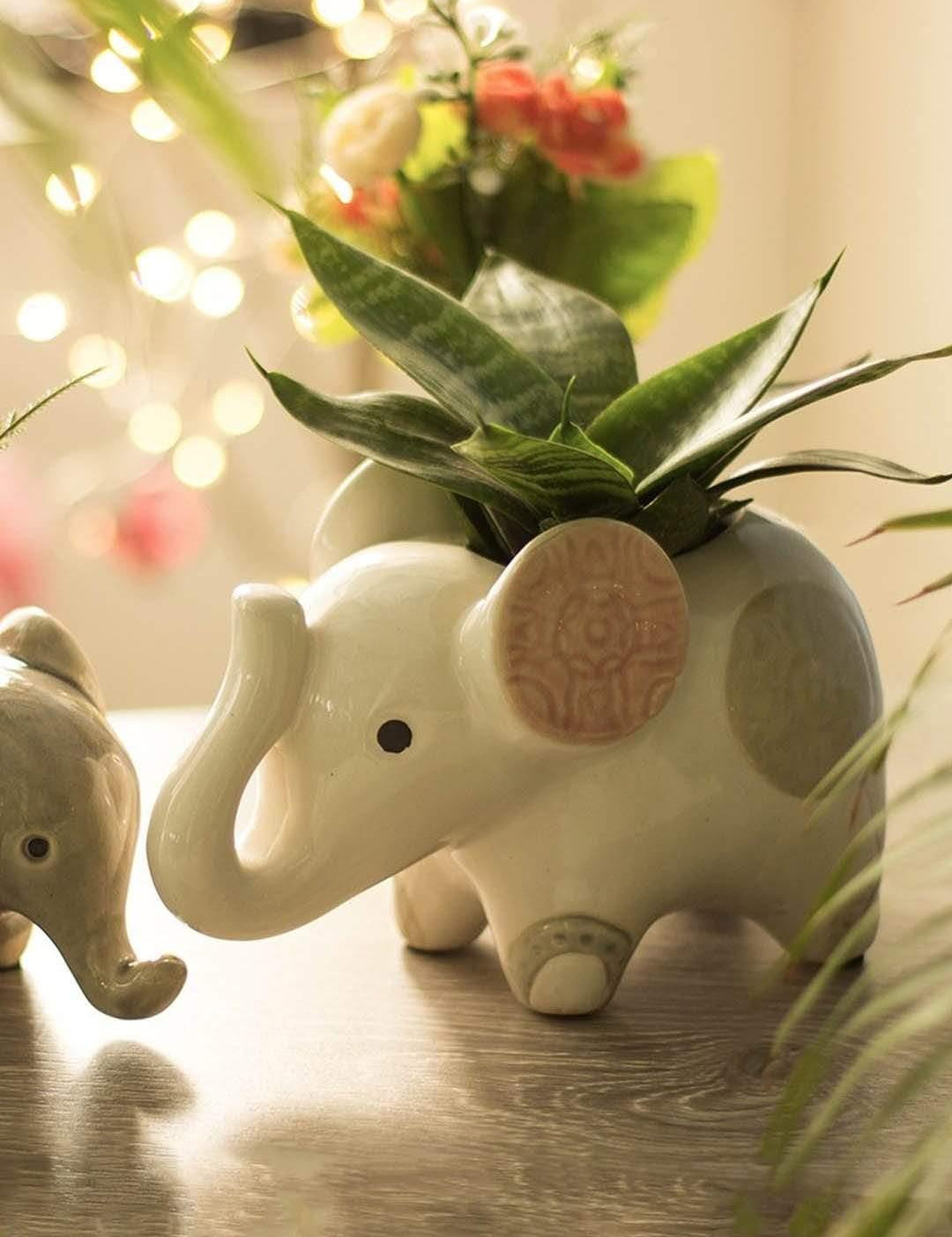 Jumbo The Elephant Planter - The Wishing Chair