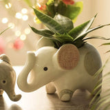 Jumbo The Elephant Planter - The Wishing Chair
