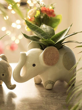 Jumbo The Elephant Planter - The Wishing Chair