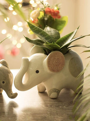 Jumbo The Elephant Planter - The Wishing Chair