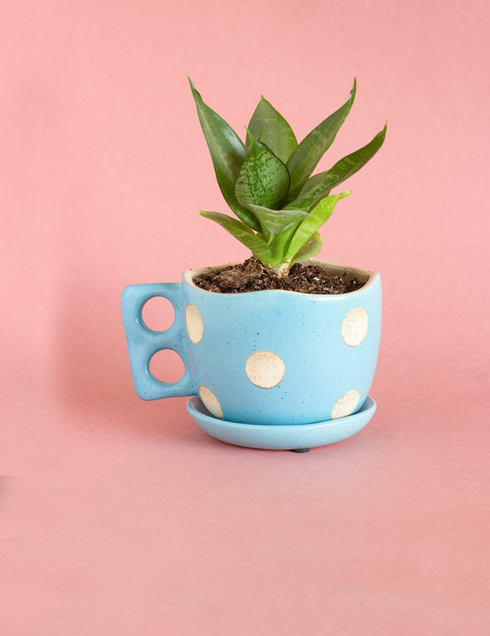 Madhatter Polka Dot Teacup Planter- Blue - The Wishing Chair