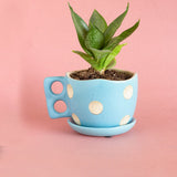 Madhatter Polka Dot Teacup Planter- Blue - The Wishing Chair