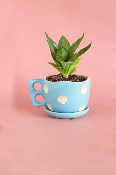 Madhatter Polka Dot Teacup Planter- Blue - The Wishing Chair