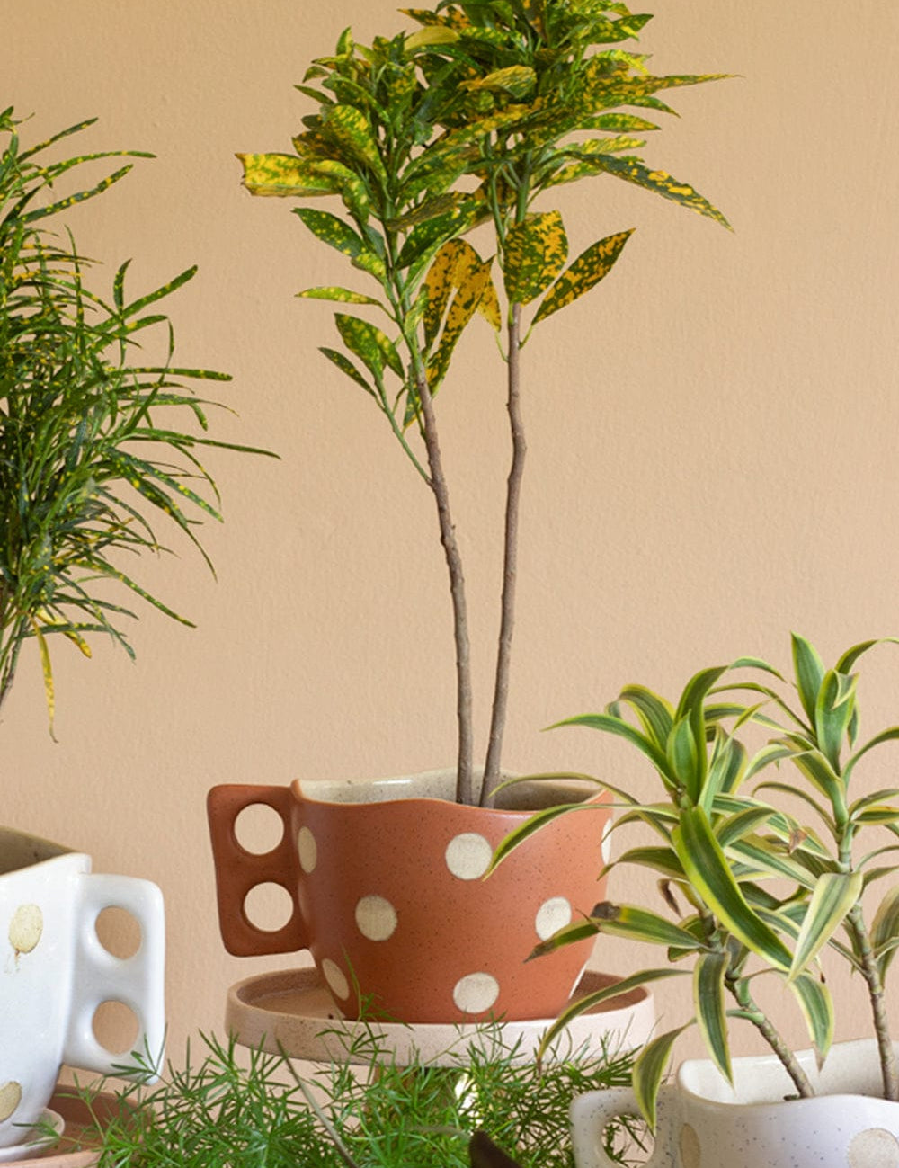 Madhatter Polka Dot Teacup Planter- Rust - The Wishing Chair