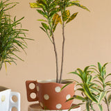 Madhatter Polka Dot Teacup Planter- Rust - The Wishing Chair