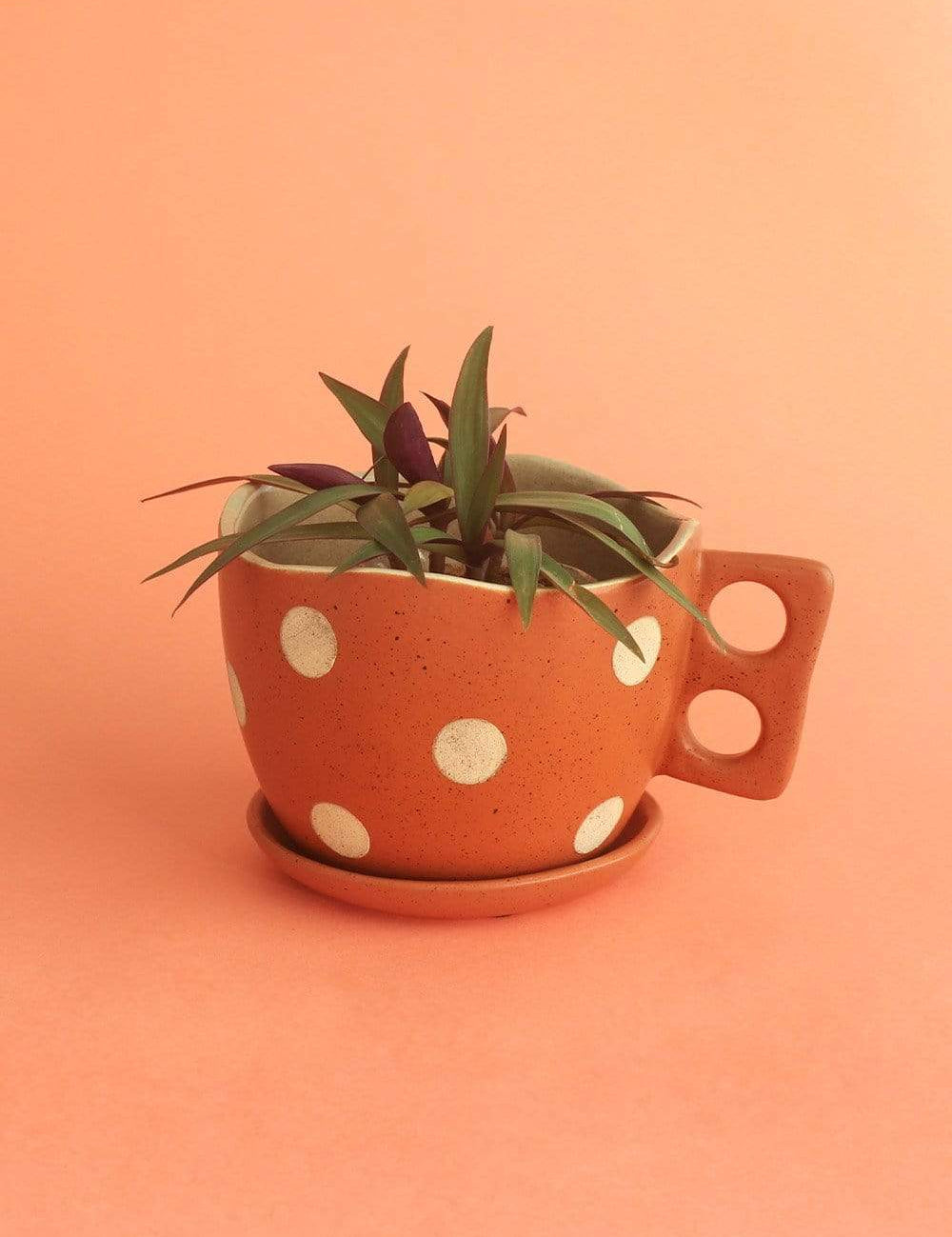 Madhatter Polka Dot Teacup Planter- Rust - The Wishing Chair