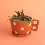 Madhatter Polka Dot Teacup Planter- Rust - The Wishing Chair