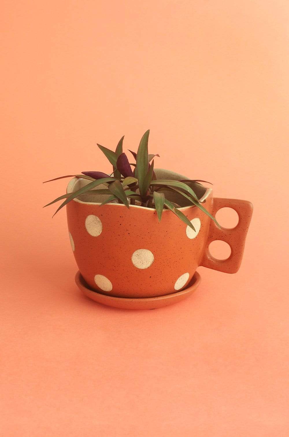 Madhatter Polka Dot Teacup Planter- Rust - The Wishing Chair
