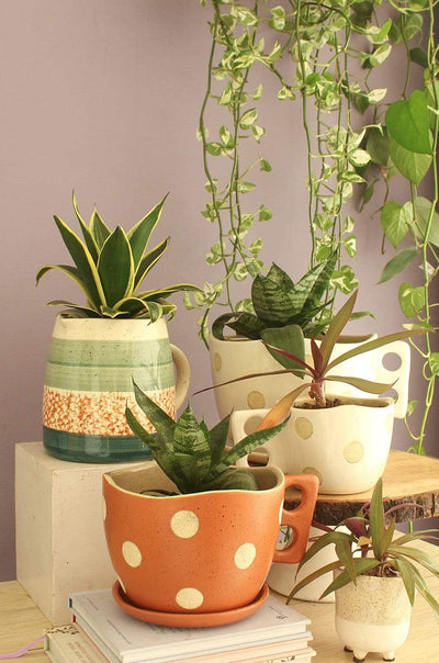 Madhatter Polka Dot Teacup Planter- Rust - The Wishing Chair