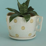 Madhatter Polka Dot Teacup White Planter - The Wishing Chair
