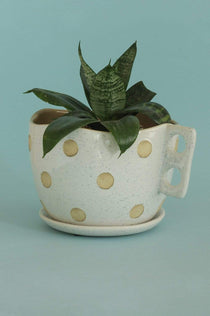 Madhatter Polka Dot Teacup White Planter - The Wishing Chair