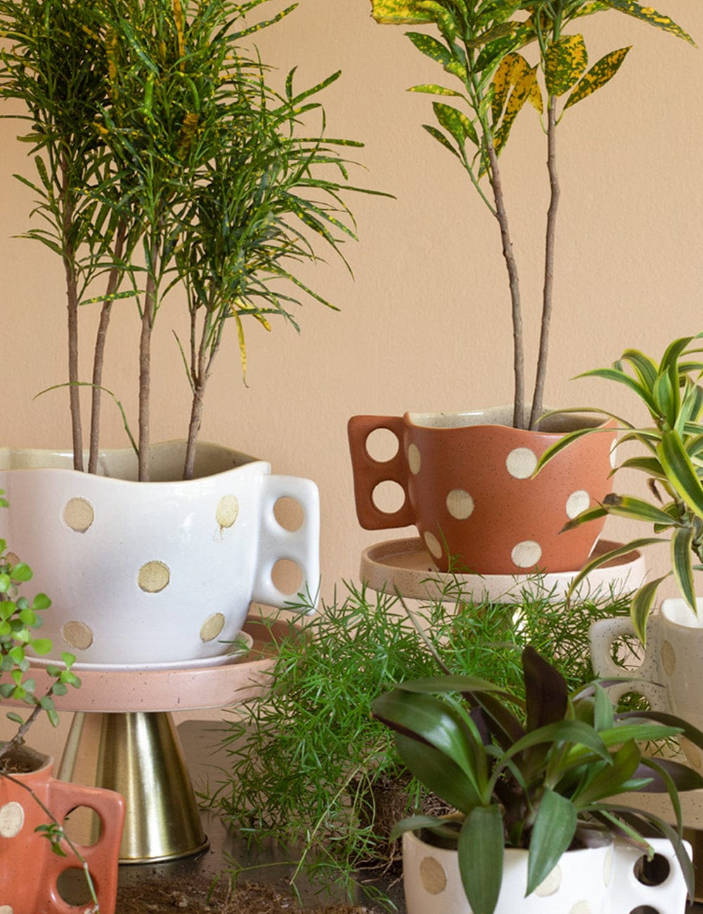 Madhatter Polka Dot Teacup White Planter - The Wishing Chair