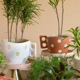 Madhatter Polka Dot Teacup White Planter - The Wishing Chair