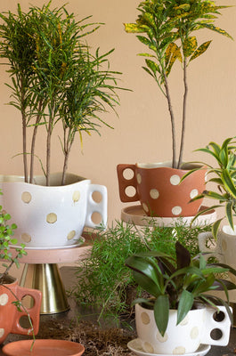 Madhatter Polka Dot Teacup White Planter - The Wishing Chair