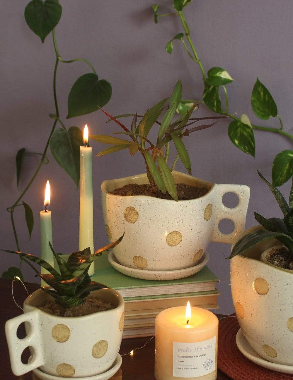 Madhatter Polka Dot Teacup White Planter - The Wishing Chair