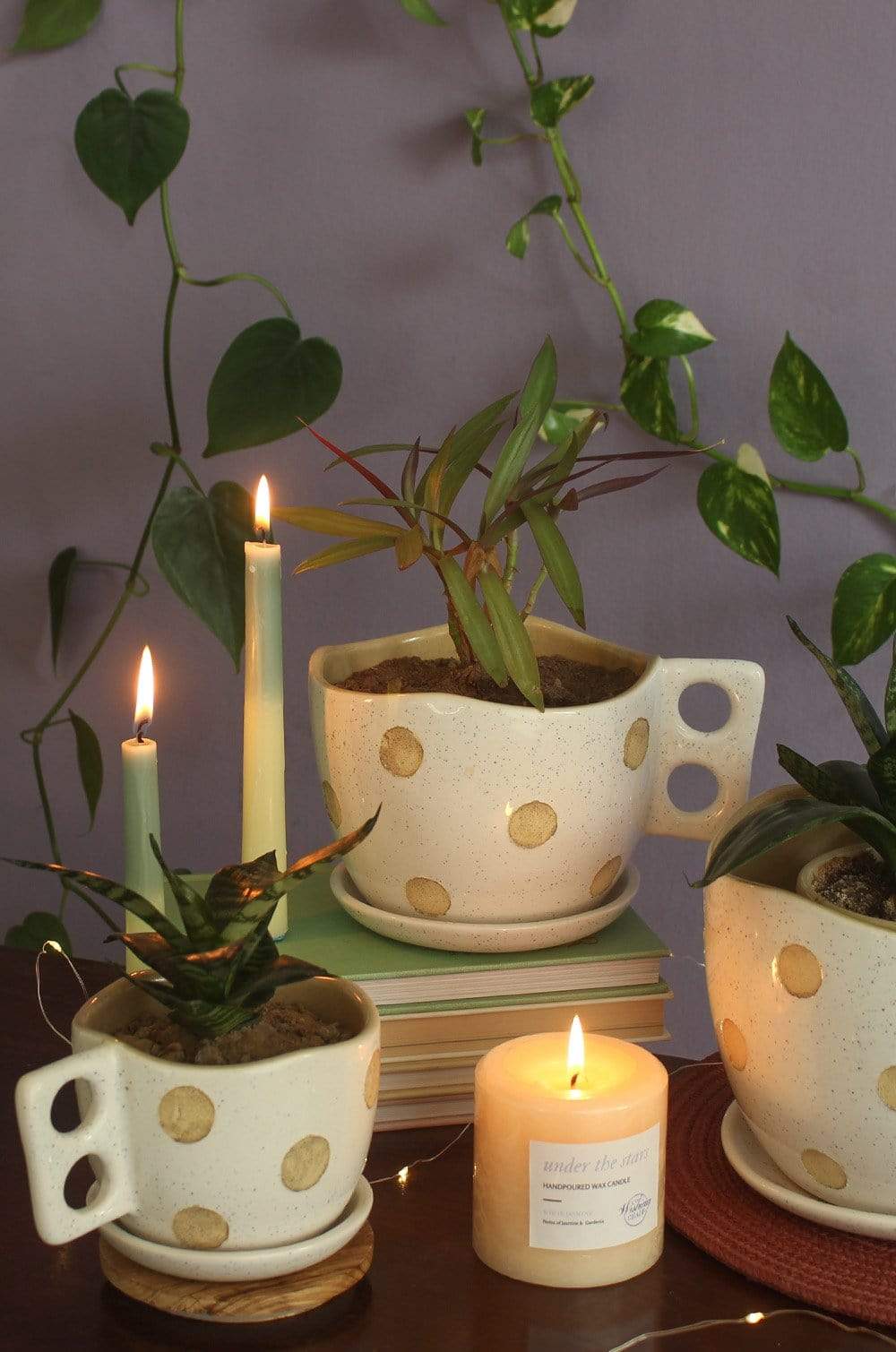 Madhatter Polka Dot Teacup White Planter - The Wishing Chair