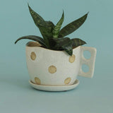 Madhatter Polka Dot Teacup White Planter - The Wishing Chair