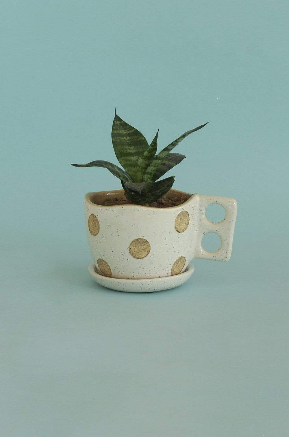Madhatter Polka Dot Teacup White Planter - The Wishing Chair