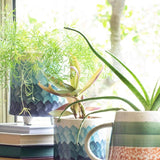 Meraki 3 Legged Ceramic Planters - Set of 2 - The Wishing Chair