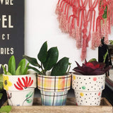Miss Sunshine Planters With Wooden Tray -set Of 3 - The Wishing Chair