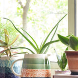 Mori Ceramic Planter - The Wishing Chair