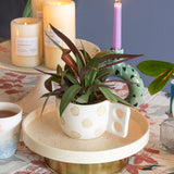 Plum Dandy Cakestand With Metallic Removable Stand - The Wishing Chair