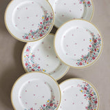 Raindrops And Roses Dinner Plate- Set Of 6 - The Wishing Chair