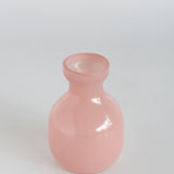 Arla Dried Flowers with Glass Vase